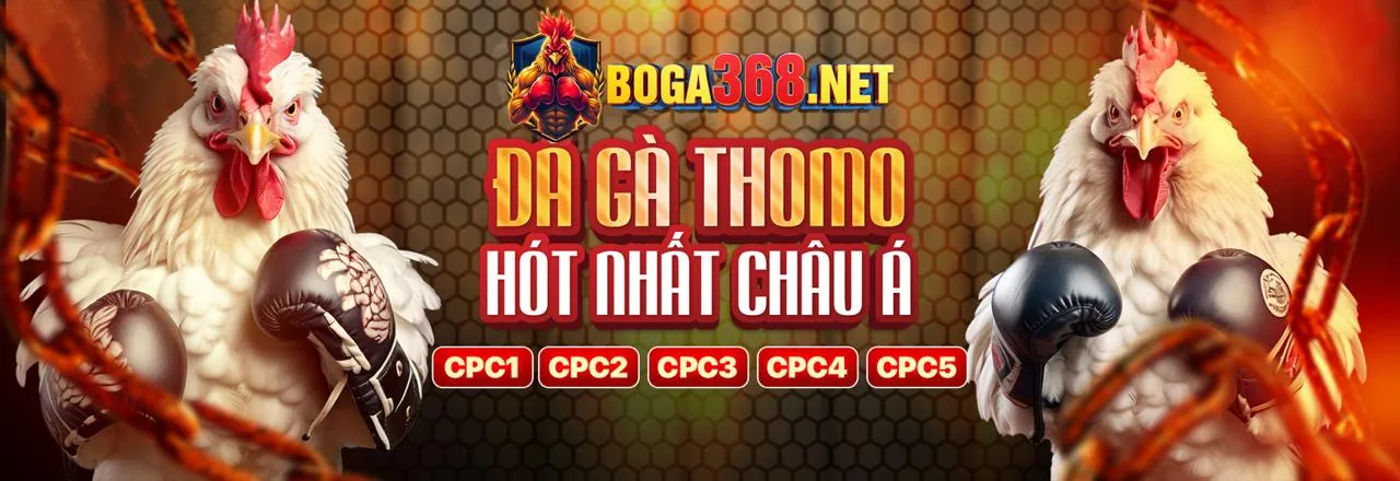 Khái niệm cá cược có trách nhiệm